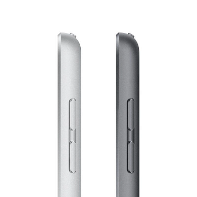 Планшет Apple iPad (2021) 10.2" 256GB Wi-Fi Silver 400_400_753862