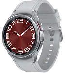 Часы Samsung Galaxy Watch 6 Classic 43mm Silver 250_100_641212