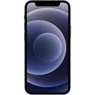 Смартфон Apple iPhone 12 256GB Black 400_400_630922
