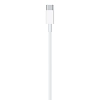 Кабель для Apple USB-C/Lightning (1м) 100_100_626881