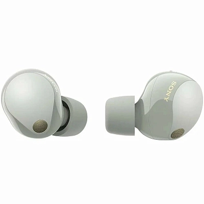 Наушники Sony WF-1000XM5 Platinum Silver 400_400_627259