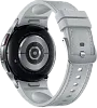 Часы Samsung Galaxy Watch 6 Classic 43mm Silver 100_100_641216