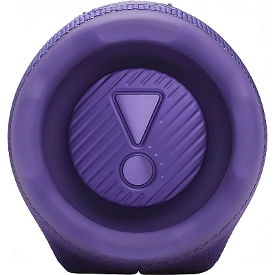 Портативная колонка JBL Charge 6 Purple 400_400_756391
