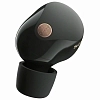 Наушники Sony WF-1000XM5 Black 100_100_627255