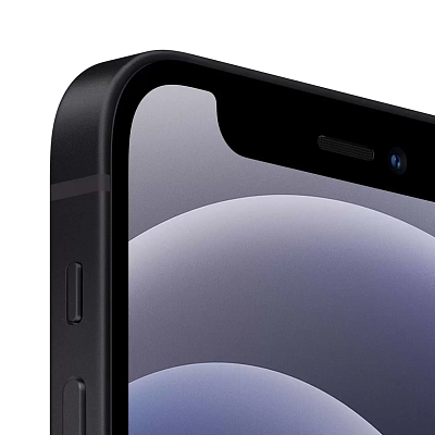 Смартфон Apple iPhone 12 256GB Black 400_400_630923