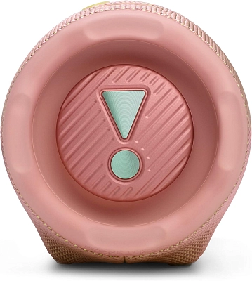 Портативная колонка JBL Charge 6 Pink 400_400_756413