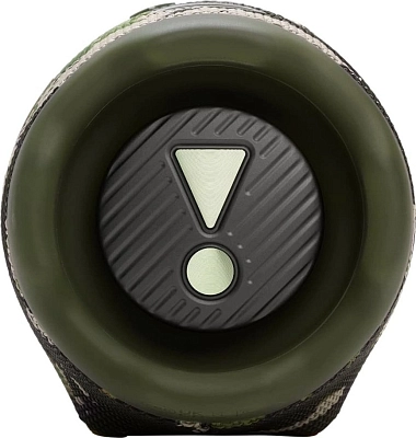 Портативная колонка JBL Charge 6 Camouflage 400_400_756381