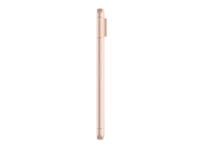 Смартфон Google Pixel 8 8/128GB Rose (JP) 400_400_636636