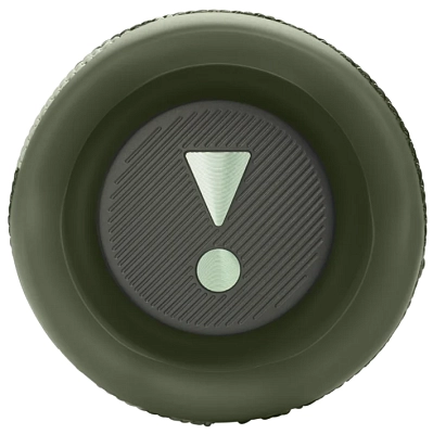 Портативная колонка JBL Flip 6 Squad 400_400_756615