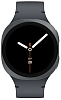 Часы Samsung Galaxy Watch 8 LTE 40mm Graphite 100_100_758931