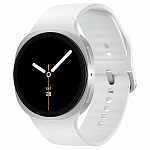 Часы Samsung Galaxy Watch 8 40mm Silver 250_100_641296