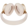 Наушники Bang&Olufsen Beoplay H95 Gold Tone 100_100_723015
