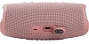 Портативная колонка JBL Charge 5 Pink 100_100_756180