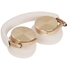 Наушники Bang&Olufsen Beoplay H95 Gold Tone 100_100_723016