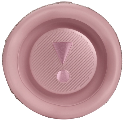 Портативная колонка JBL Flip 6 Pink 400_400_756605