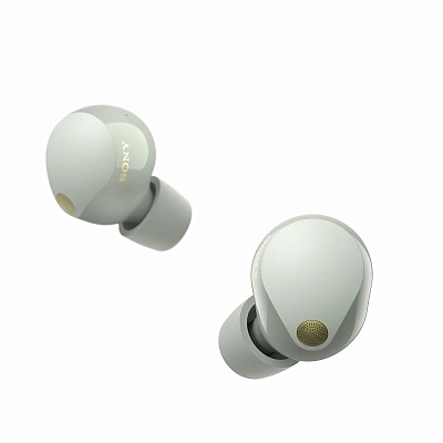 Наушники Sony WF-1000XM5 Platinum Silver 400_400_627260