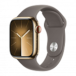 Часы Apple Watch Series 9 45mm Gold Stainless Steel Case Sport Band Clay S/M 250_100_640336