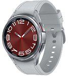Часы Samsung Galaxy Watch 6 Classic 43mm Silver 250_100_641212