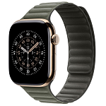 Ремешок Apple Watch 46 мм Magnetic Link Sage Gray - M/L 250_100_694422