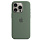 Чехол для iPhone 15 Pro Max Silicone Case with MagSafe - Cypress 42_42_221278