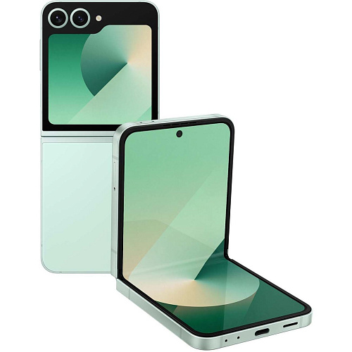 Смартфон Samsung Galaxy Z Flip 6 12/512 Mint 250_100_688284