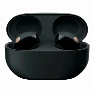 Наушники Sony WF-1000XM5 Black 500_191_703970